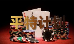 246好彩精选澳门140期材料V